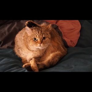 Meet your Posher, 涵茵